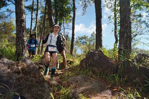 BIB: 
                            <button type="button" onclick="openModal(18915126)" class="btn btn-primary btn-sm float-right btn-popup" data-toggle="modal" data-target=".modal-high-quality">
                        <i class="fas fa-shopping-cart"></i> Add to Cart
                    </button>
                                            <button type="button" onclick="isThisMe(18915126, true)" class="btn btn-success btn-sm float-right btn-popup btn-isme hidden" data-toggle="tooltip" data-placement="bottom" title="นี่คือรูปของคุณใช่ไหม คลิกที่นี่เพื่อเอาเข้าอัลบั้ม">
                        <i class="fas fa-plus"></i> Add to album
                    </button>
                    <button type="button" onclick="isThisMe(18915126, false)" class="btn btn-warning btn-sm float-right btn-popup btn-isnotme hidden">
                        <i class="fas fa-ban"></i> Remove from album
                    </button>